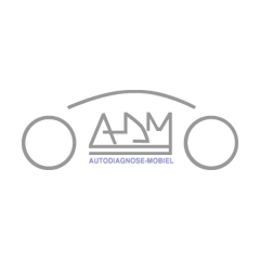 Autodiagnose Mobiel